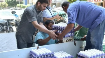 تحديثات البورصة.. أسعار كرتونة البيض الأبيض والأحمر خلال تعاملات الأحد 8 فبراير 2026